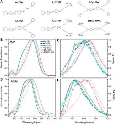 Molecular Design of Amphiphilic Plasma Membrane-Targeted Azobenzenes for Nongenetic Optical Stimulation
